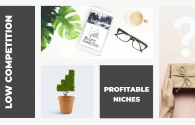 Top 10 Profitable Niches With Low Competition