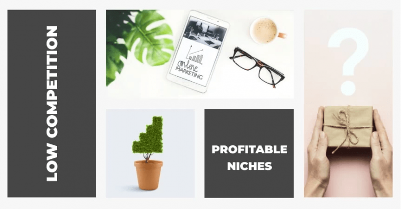 Top 10 Profitable Niches With Low Competition
